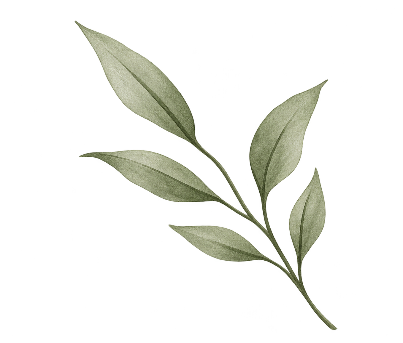 Delicate Olive-Green Botanical Sprig